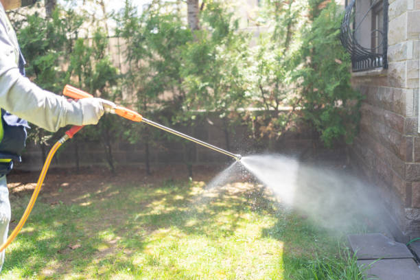 Best Ant Control Services  in Wilson, OK
