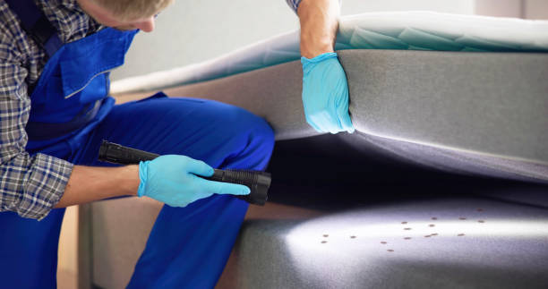 Best Pest Control Cost  in Wilson, OK