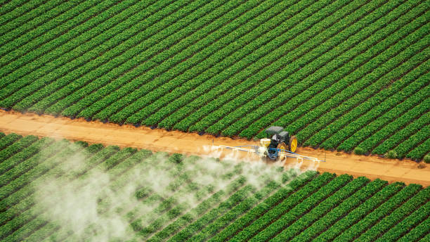 Professional Pest Control in Wilson, OK