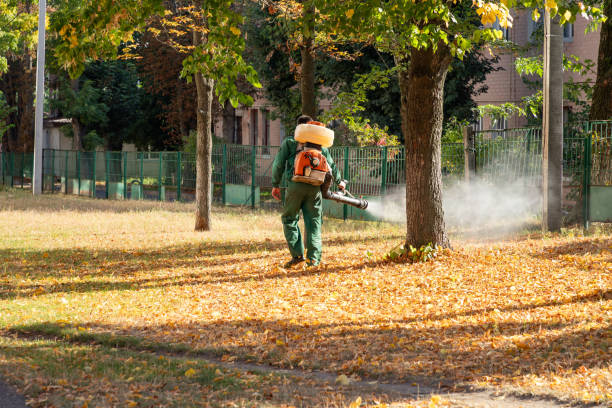Best Rodent Control Near Me  in Wilson, OK