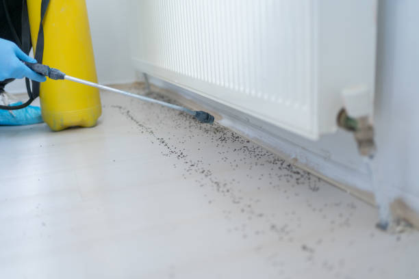 Best Mosquito Control Services  in Wilson, OK